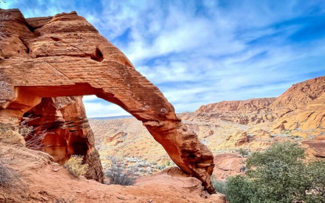 Elephant Arch Elephant Arch
