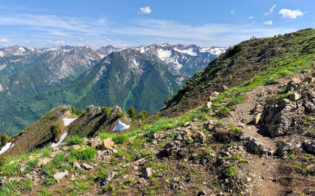 View on the way back down Gobblers Knob Trail
