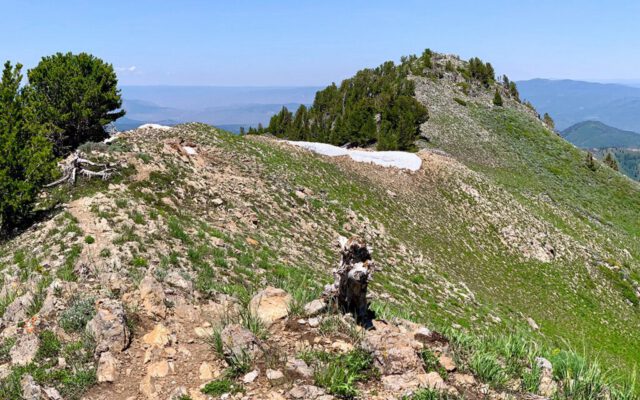 Summit of Gobblers Knob Summit of Gobblers Knob
