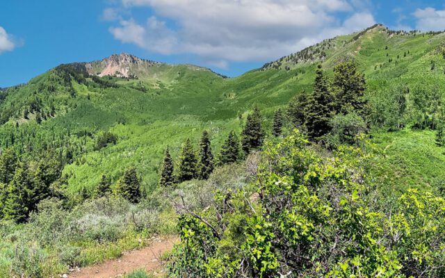 Mt. Raymond on the left, Gobblers Knob on the right View of Mt. Raymond and Gobblers Knob