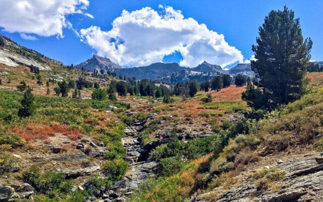 Looking south Lamoille Canyon