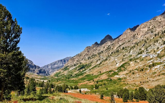 View looking NE Lamoille Canyon