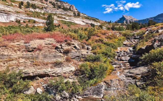 A small cascade Cascade in Lamoille Canyon