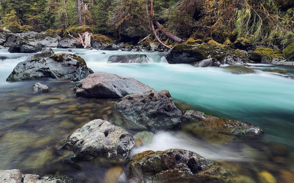 Skokomish River in Olympic Natl Park
