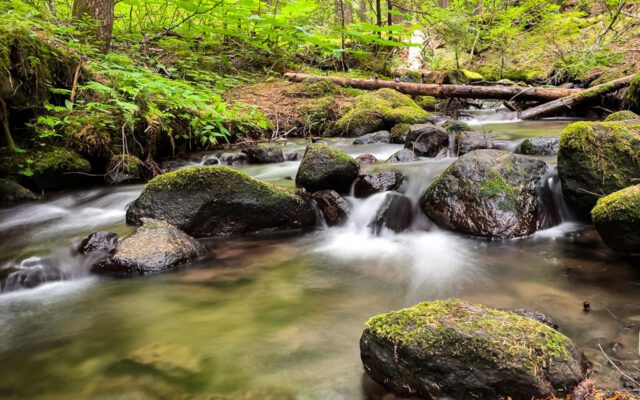 Stream near Ramona Falls
