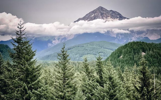 Mt. Hood