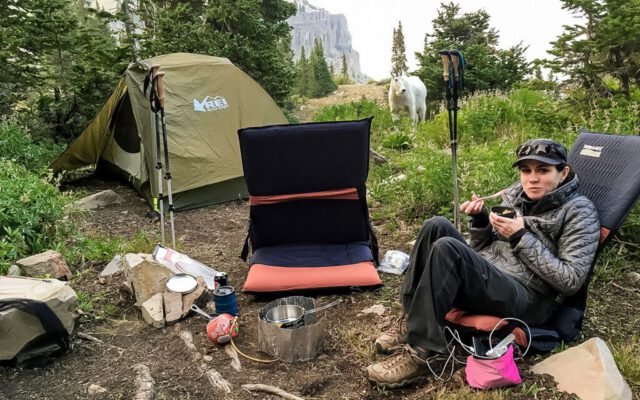 Mountain Goat in camp