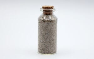 Will Rogers Beach Sand