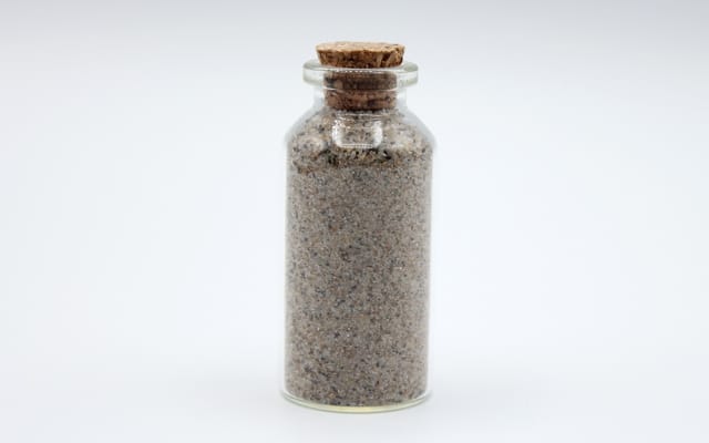 Will Rogers Beach Sand